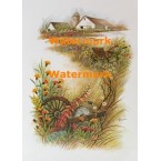 Antique Farm Tools  - #XS2209  -  PRINT